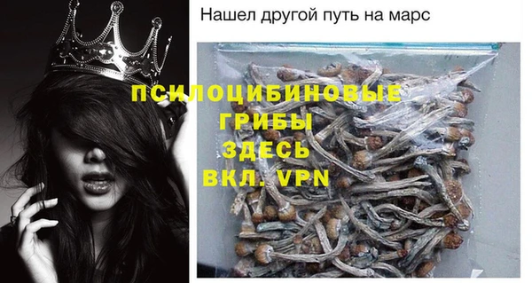 бошки Верея