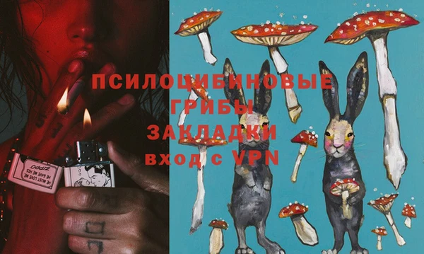 бошки Верея