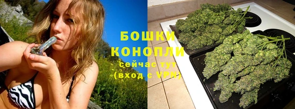 соль ск Верхний Тагил