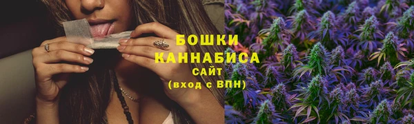 бошки Верея