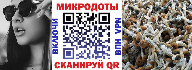 Галлюциногенные грибы GOLDEN TEACHER Камышлов
