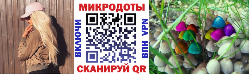 Галлюциногенные грибы Cubensis  Камышлов 